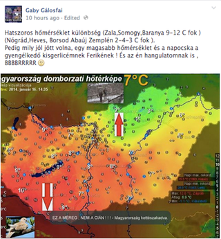 Illustration for article titled ​Az internet ismeretlen királya Gaby Gálosfai, a videózseni